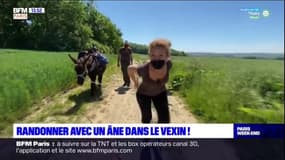 Paris Mobility : randonner avec un âne dans le Vexin !