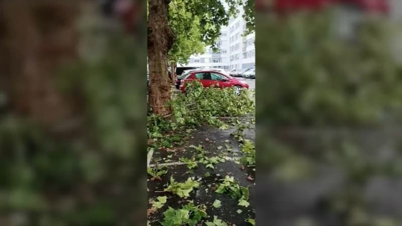 Des branches tombées près de voitures ce samedi soir à Tours à cause des orages qui touchent une grande partie de la France.