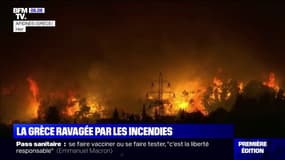 La Grèce submergée et ravagée par une centaine d'incendies