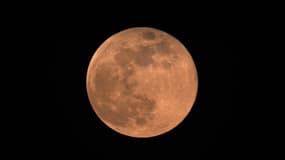 La Lune du Castor est photographiée au-dessus de Mexico le 15 novembre 2024.
