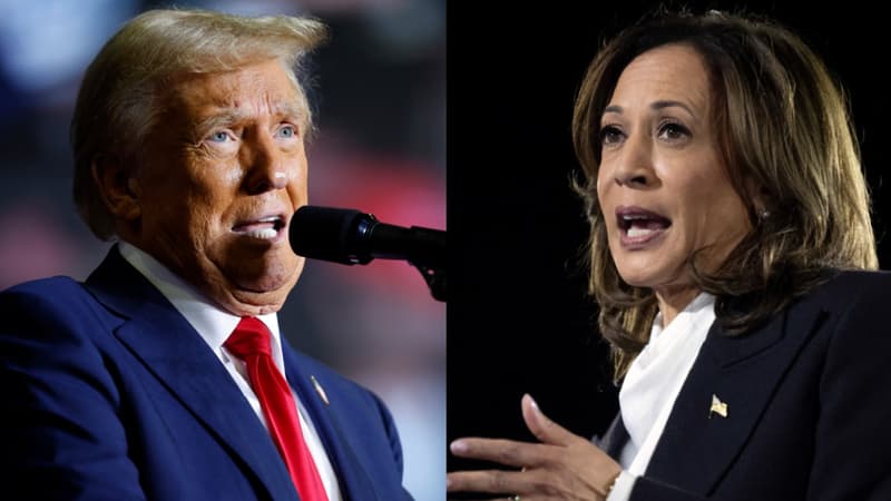 Tom Hanks, Bad Bunny, Hulk Hogan... les célébrités se mobilisent pour Kamala Harris ou Donald Trump dans la dernière ligne droite