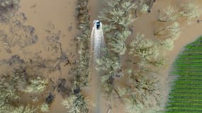 Une voiture prise dans les inondations à Sébastopol en Californie aux États-Unis, le 6 janvier 2023