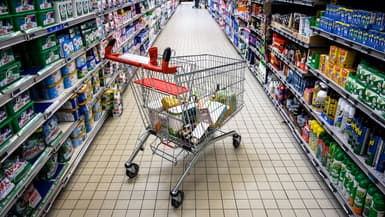 Un chariot dans un supermarché de Labège (Haute-Garonne), le 26 novembre 2022 (photo d'illustration).