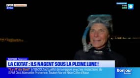 La Ciotat: ils nagent sous la pleine lune