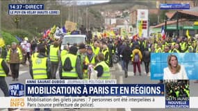 17ème samedi de mobilisation des gilets jaunes dans Paris (2/2)