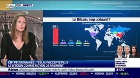 Polluant le bitcoin?: il faut "se méfier des comparaisons un peu facile" estime Claire Balva (KPMG)