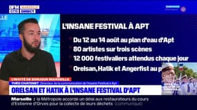 Apt: la programmation de l'Insane Festival en août