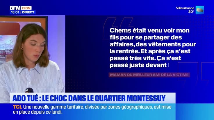 Ado tué : le choc dans le quartier Montessuy