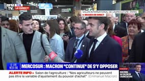 "J'ai à cœur que le Salon soit beau parce que c'est une fête": Emmanuel Macron appelle à l'apaisement des tensions pendant le Salon de l'agriculture