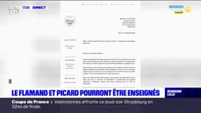 Dès la rentrée de 2022, le flamand et le picard pourront être enseignés dans les écoles