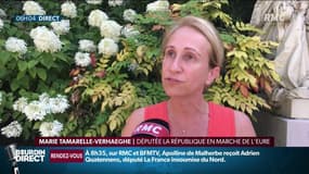 "Pour un enfant, c'est très constructeur de savoir que sa vie advient d'un échange d'amour entre deux parents", Marie Tamarelle-Verhaegue, députée LREM, émet des réserves sur l'ouverture de la PMA aux femmes 