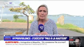 Marine Le Pen sur l'hyperviolence des jeunes: "Je ne suis pas sûre que les solutions proposées soient à la hauteur"