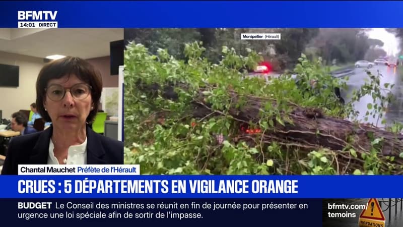 "Un épisode particulièrement important" assure la préfète de l'Hérault qui appelle à la vigilance