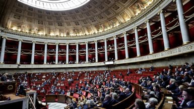 Vue générale de l'Assemblée nationale, à Paris le 2 décembre 2024. 