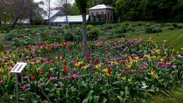 Un parc fleuri dans la ville de Lund, en Suède.