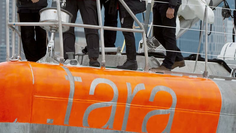 La médaille d'or du CNRS est décerné à Eric Karsenti