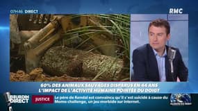 "On a des solutions un peu "win-win" qui marchent à la fois pour le climat et pour la biodiversité"