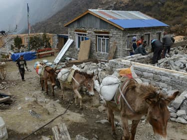 Des Népalais travaillant à reconstruire leur maison, le 7 avril 2016, soit un an après le séisme meurtrier qui a frappé le pays.