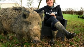 Elodie Cappé, une éleveuse de chevaux près de Chaource (Aube), pose pour l'AFP le 24 décembre 2024 avec son sanglier apprivoisé Rillette, dont les autorités réclament le placement dans une "structure adaptée"
