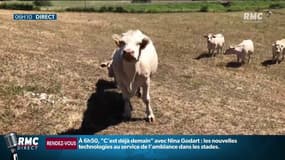 Sécheresse: 53 départements désormais concernés par des restrictions d'utilisation d'eau