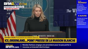 "Un énorme exploit en matière de politique étrangère pour le président des États-Unis": Washington salue le retour du dernier otage israélien