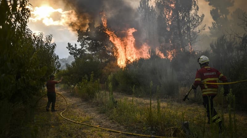 Incendies: le Portugal placé en état d'alerte et toujours ravagé par les flammes