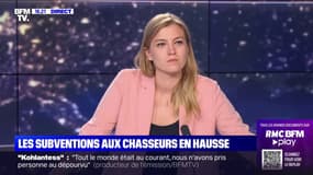 Raphaëlle Rémy-Leleu (EELV): après cet "été meurtrier", "on ne peut déclarer à nouveau la chasse ouverte, comme si de rien n'était"