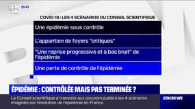 Selon le Conseil scientifique, le contrôle de l'épidémie de coronavirus est le scénario "le plus probable"