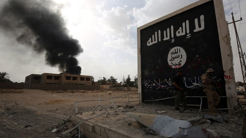Syrie: Daesh a tué plus de 4.000 personnes depuis la fin du 