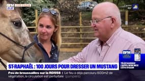 St-Raphaël: 100 jours pour dresser un mustang