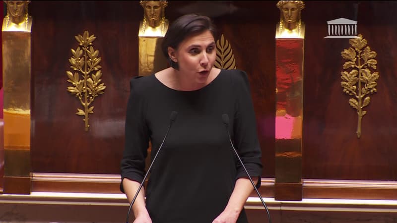 Motion de censure du RN: pour Laure Lavalette, le gouvernement aura échoué, quelque soit le vote