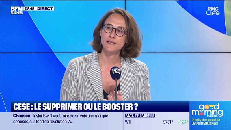 Qui pour prendre la tête du CESE ? - 28/04