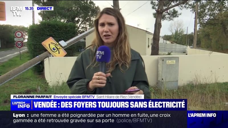 Tempête Domingos: 80 foyers privés d'électricité en Vendée
