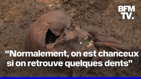  Au Danemark, des archéologues retrouvent 50 squelettes de Vikings 