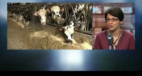 Crise agricole : un livre dénonce le système “quasi mafieux″ des industriels du lait en France 