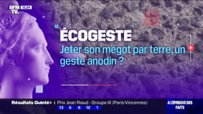 L'ÉCOGESTE - Jeter son mégot par terre, un geste anodin?