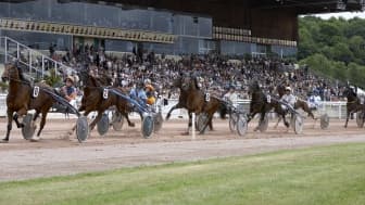 Les pronos hippiques du mercredi 8 juin 2022