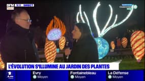 Paris: inauguration des illuminations de Noël au jardin des Plantes