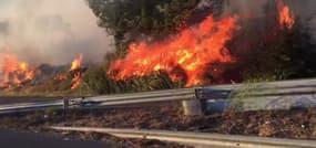 Vitrolles: les broussailles en feu aux abords de l'autoroute  - Témoins BFMTV