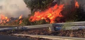 Vitrolles: les broussailles en feu aux abords de l'autoroute  - Témoins BFMTV