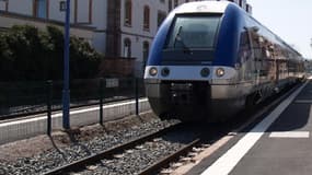 Le train arrivait en gare de Vaires-Torcy (illustration)