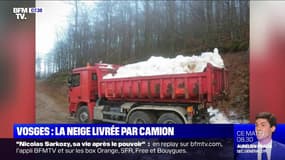 Face au manque de neige dans les Vosges, la station de Gérardmer la fait livrer par camion