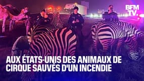 États-Unis: la police sauve des animaux de cirque d’un incendie dans l'Indiana