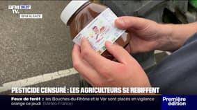 Pesticides: en Alsace, les syndicats agricoles organisent une opération "rayonne vide"