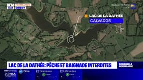 Lac de la Dathée: pêche et baignade interdites en raison d'une cyanobactérie