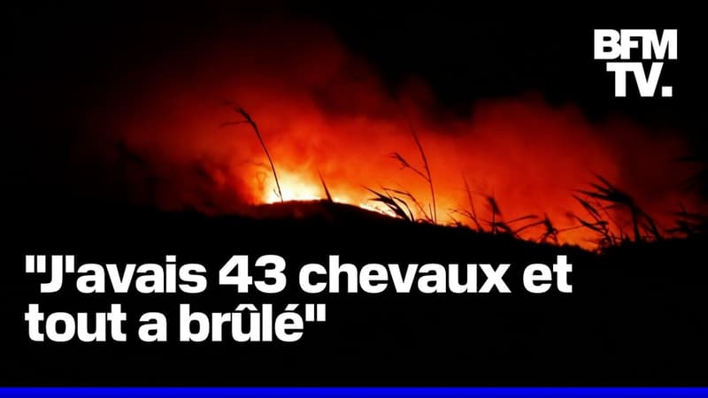 Incendie dans l'Aude: près de 2.000 hectares touchés, le préfet demande aux habitants de 