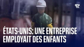 Une entreprise américaine condamnée pour avoir employé "au moins 102 enfants" dans des abattoirs