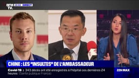 Le plus de 22h Max: Les "insultes" de l'ambassadeur de Chine à Paris - 22/03