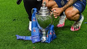Illustration Coupe de France
