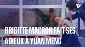 Brigitte Macron fait ses adieux à Yuan Meng, premier panda né en France
